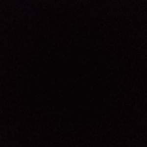 Meet your Posher, Riley